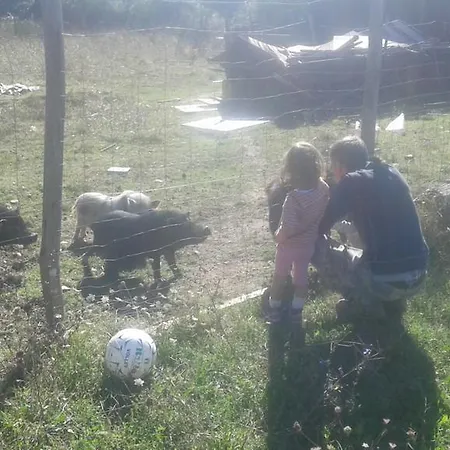 Farmház Del Galluzzo *