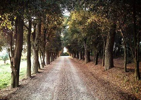 Del Galluzzo Farm stay *