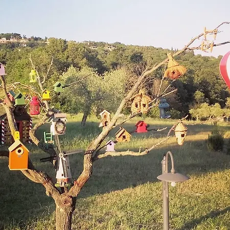 Del Galluzzo Farm stay